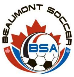 BSA_logo